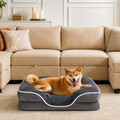 Happy Shiba Inu dog resting on a charcoal grey orthopedic bolster sofa bed in a modern living room with a beige sectional sofa